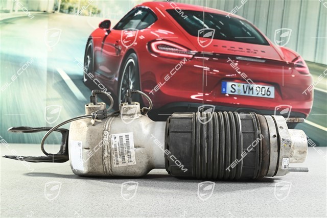 Stossdämpfer / Schwingungsdämpfer, Luftfederung, VA, Komplett, L