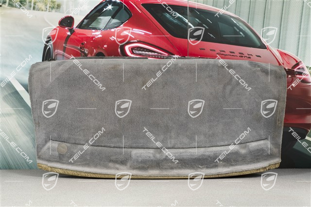 Klebeteppich / Hutablage / Bodenbelag, Steingrau, Klangpaket Bose, Coupe