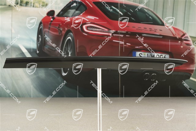 Front bumper disc / trim, Sport Design Package, upper, Black matt, L