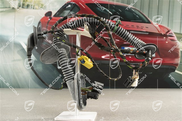 Wiązka elektryczna drzwi pasażera, R