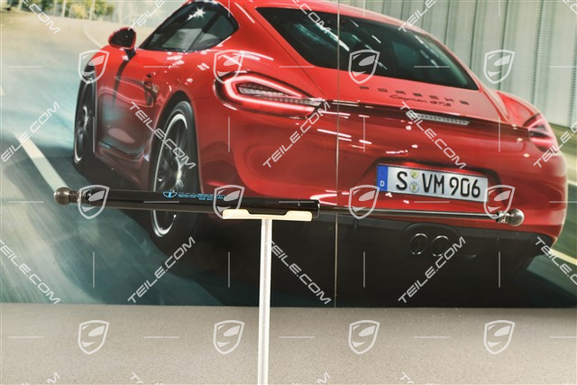 Cabrio, Pressure spring / damper / strut, rear, L=R