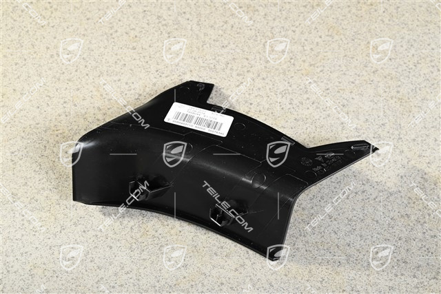 Rear light cover, outer, L