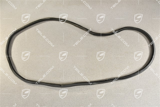 Uszczelka drzwi tylnych, wewnętrzna, R