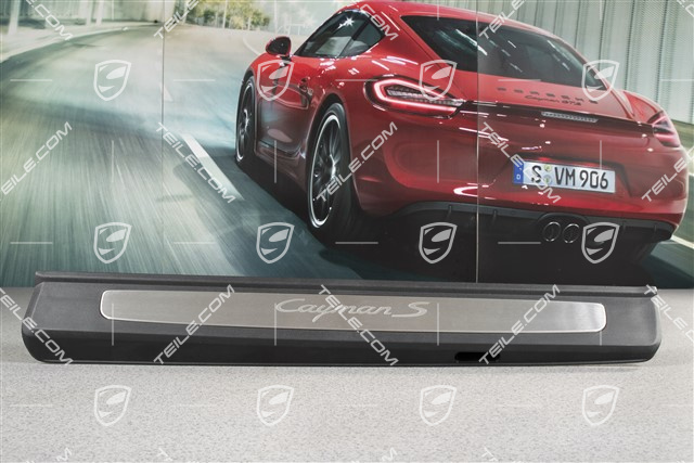 Blenden/Einstiegleisten, ohne Beleuchtung, Edelstahl, "Cayman S", Satz, L+R