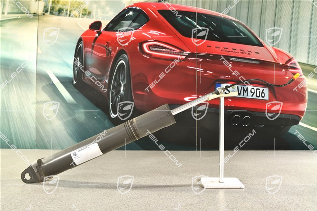 Stossdämpfer / Schwingungsdämpfer, HA, Turbo, L=R