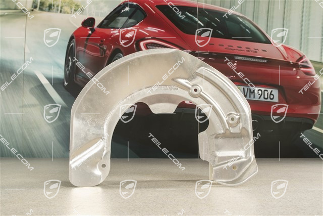 Front axle disc brake protective plate, R