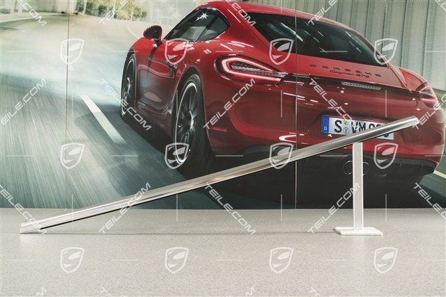 Moulding, Door channel, incl. sealing, rear, Galvano silver, R