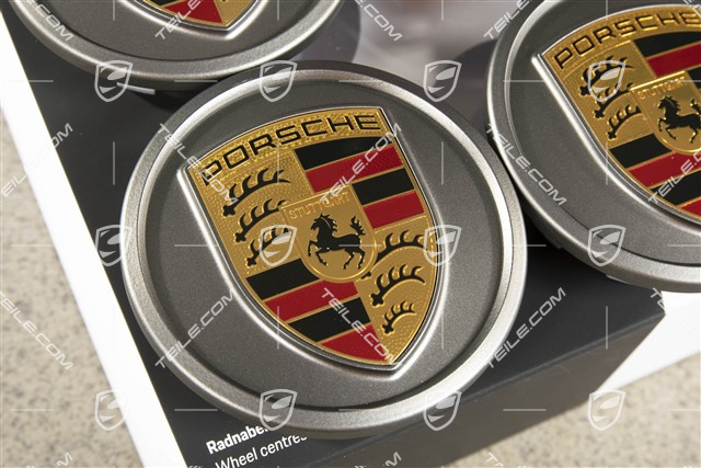 Wheel hub set (4 pcs.), Silk gloss Platinum/Silk gloss Platinum