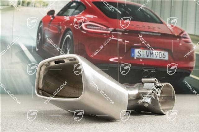 Końcówka rury wydechowej, owalna, do seryjnego wydechu, szczotkowana stal nierdzewna