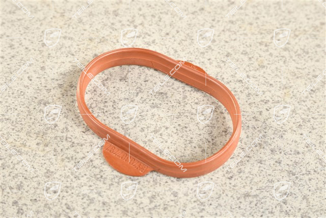 Dichtung, Ansaugverteiler, 4,8L V8