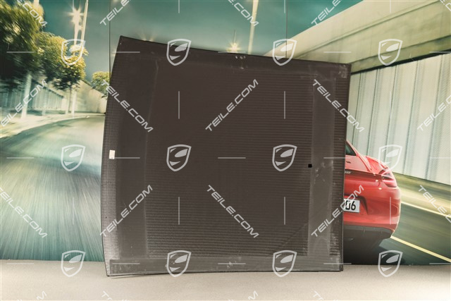 Dach / zewnętrzne poszycie dachu, carbon, wersja USA, z otworem na antenę