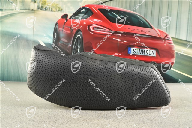 Seitenverkleidung der hinteren Rückenlehne, perforiertes Leder, schwarz, L