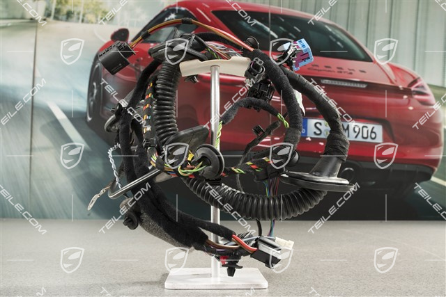 Kabelstrang / Kabelbaum Beifahrertür, Klangpaket ASK, R