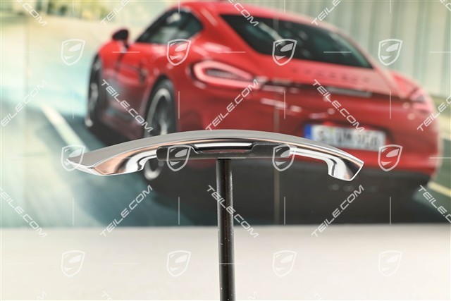Türgriff entry and drive, Leiste, Alu look, R