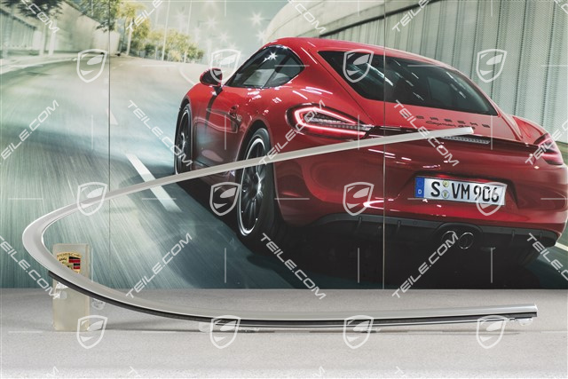 Moulding, Door channel, incl. sealing, rear, Aluminium, R