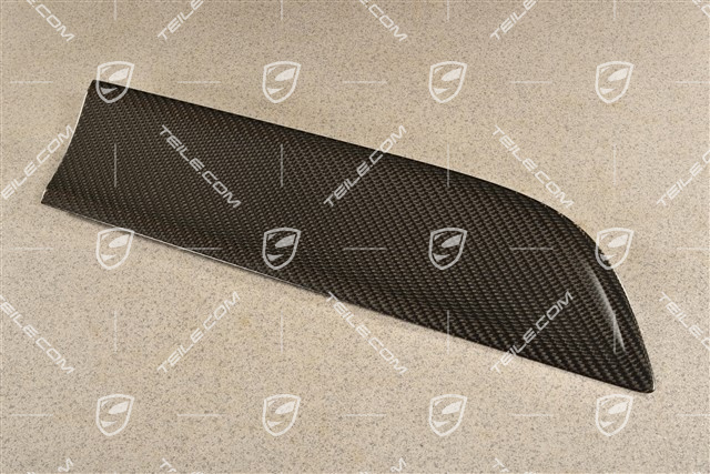 Rear door cover / trim, Carbon matt, R