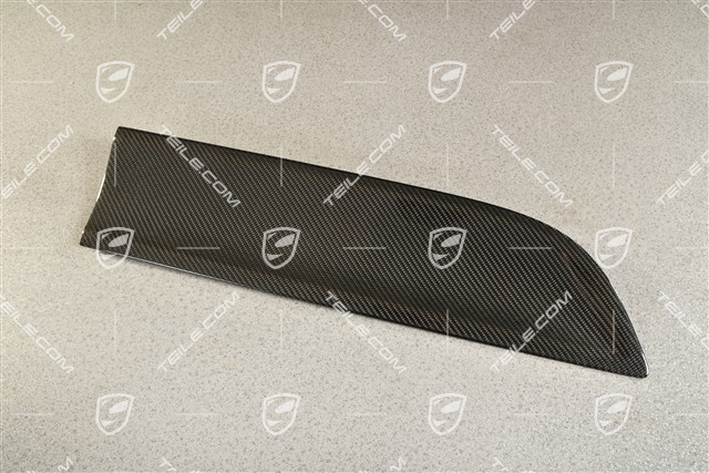 Rear door cover / trim, Carbon, R