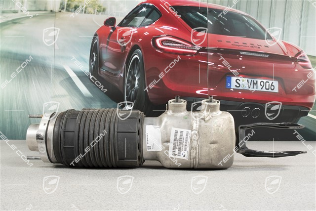 Stossdämpfer / Schwingungsdämpfer, Luftfederung, PASM, VA, Komplett, R