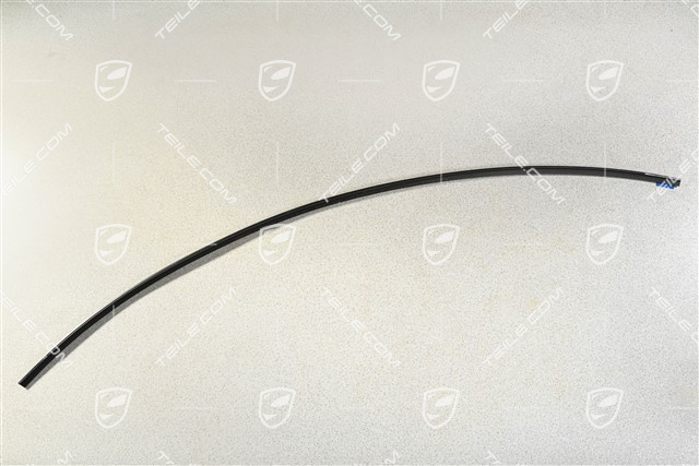 Windshield gasket, lower