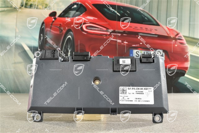 Steuergerät Batterie Überwachung