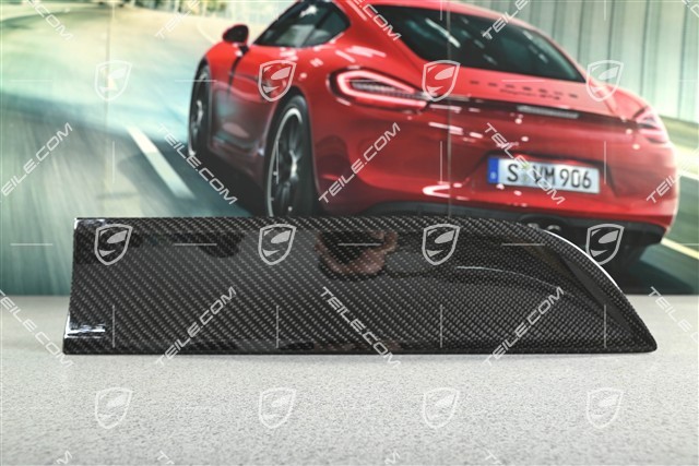 Rear door cover / trim, Carbon Gloss Black, R