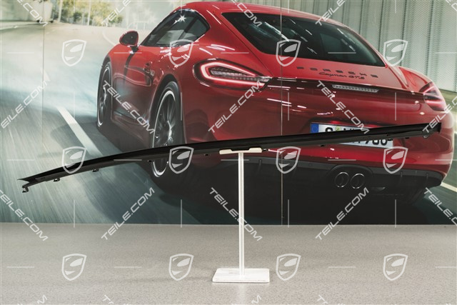 Dodatkowa uszczelka drzwi tylnych, dolna, L