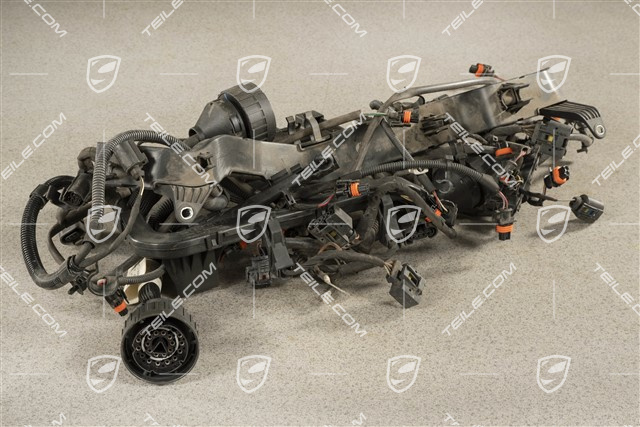 Facelift 3,8L, Wiązka instalacji elektrycznej silnika