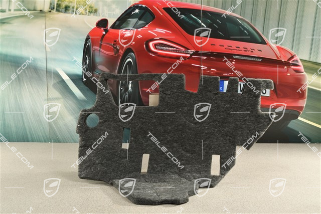 Dämpfung für Türverkleidung, Hinten