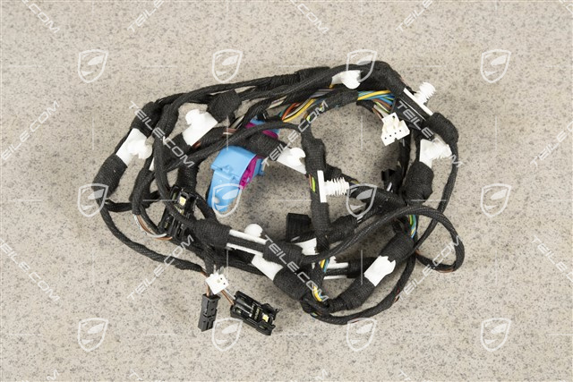 Kabelstrang, Türtafel, Beifahrertür, ASK, R