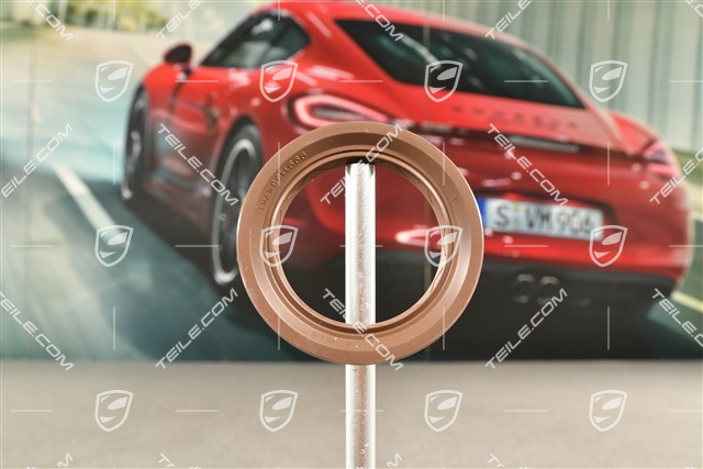 Wellendichtring für Innen Gelenk Flansch 48 x 68 x 10