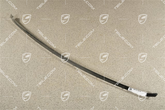 Befestigungsschiene für Heckspoiler Gummibalg Rückwand, unten