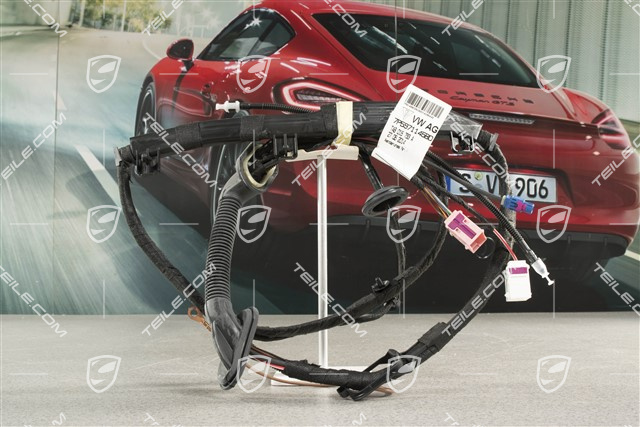 Wiring harness, Boot lid / trunk, DAB / Real Top View, L