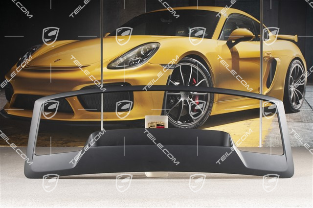 Frame / ventilation grille, 911R