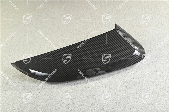 Spyder / RS, Blende für Lufteinlass, Carbon, L