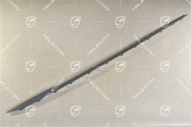 Zierleiste für Schwellerblende / Seitenschweller, L