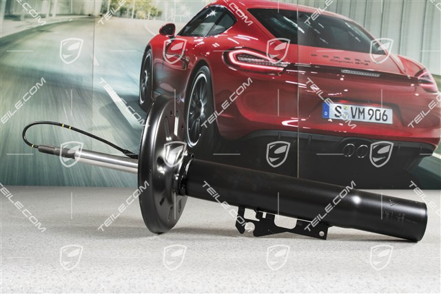 Schwingungsdämpfer, C2/C2S, L=R