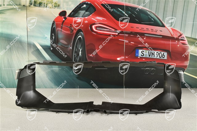 Luftführung mitte, V8 Biturbo