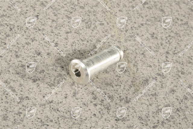 Sworzeń zabezpieczający