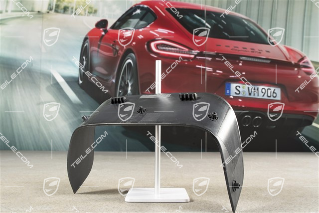 Rear bumper cover, exhaust pipe cover / trim, Centre, GT3