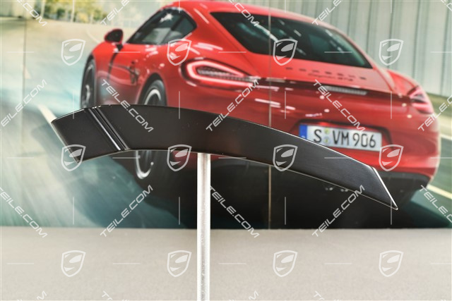 Zaślepka słupka C, Targa, L