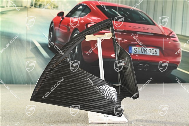 21 cali Taycan Exclusive Design blenda / kołpak carbon, tył, R