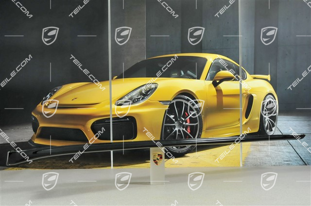 Schwellerblende, C4/C4S/GT3/911R, lackiert, R