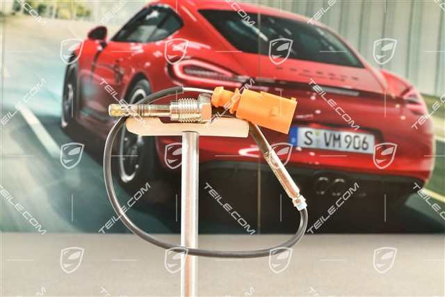 3,0 TDI, Czujnik temperatury spalin