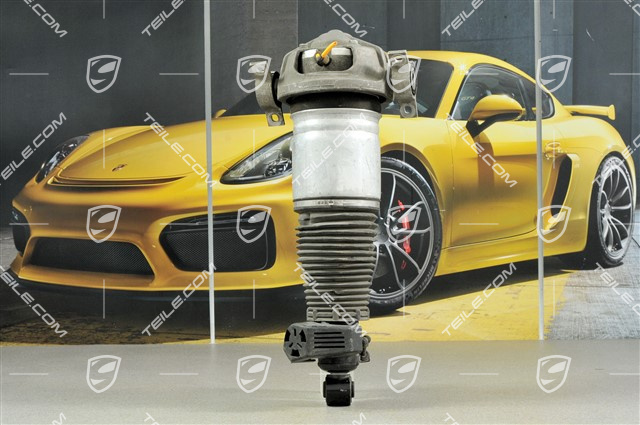 Federbein komplett, V8 280KW / V8 Biturbo 368KW, R Federbein komplett, V8 280KW / V8 Biturbo 368KW, R