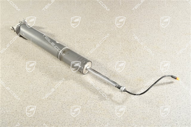 Stossdämpfer / Schwingungsdämpfer, HA