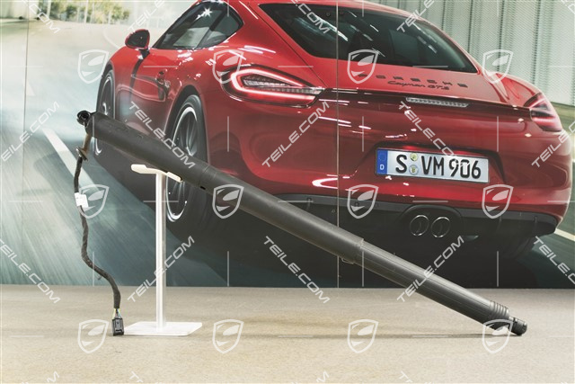 Zylinder für Heckklappe Servoschließung / Powerlift