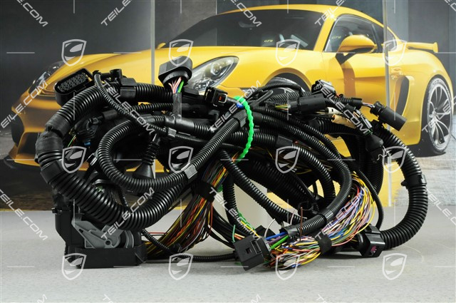 Kabelstrang, Abschnittsteil, vorne, R Kabelstrang, Abschnittsteil, vorne, R