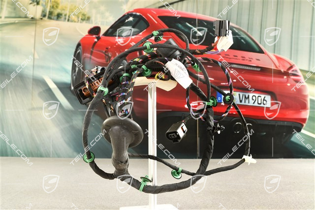 Kabelstrang Fahrerseite / Bose soundpaket