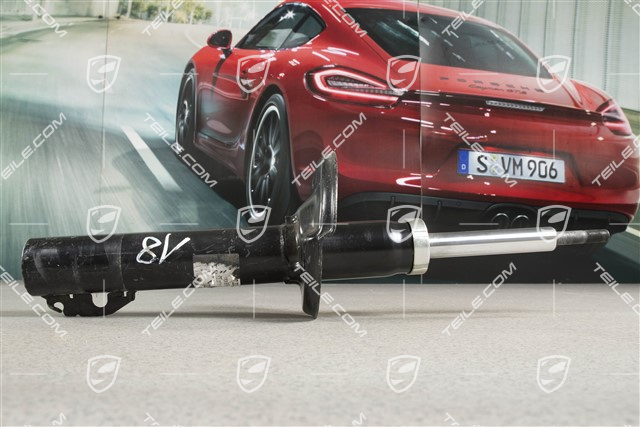 Stossdämpfer,  Cayman R, L=R