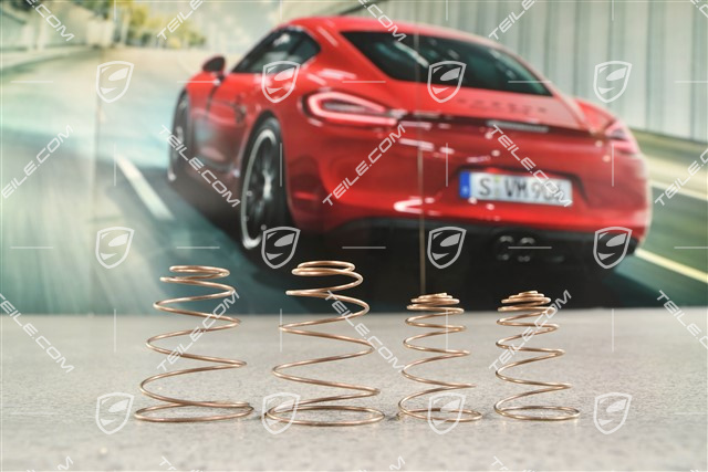 Reperaturset, Spreizfeder, hinten, GT3 CUP